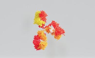 Какая вспышка заболевания может стать следующей пандемией - В ВОЗ указали на смертоносную инфекцию