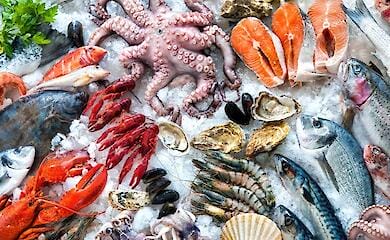 Завезенные морепродукты вызывают опасные болезни