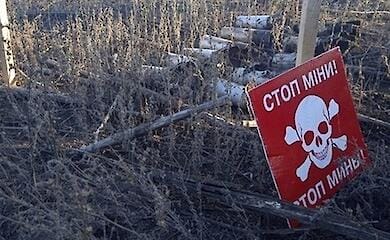 У ДСНС розповіли, яка частина сільгоспугідь потребує негайного розмінування