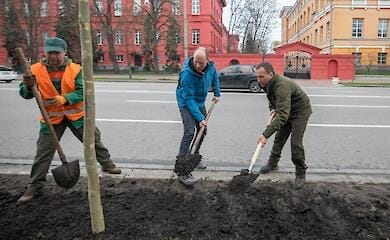 Вивезли понад 6 тисяч кубометрів сміття: у КМДА розповіли про результат загальноміської толоки. ФОТО