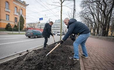 Вивезли понад 6 тисяч кубометрів сміття: у КМДА розповіли про результат загальноміської толоки. ФОТО