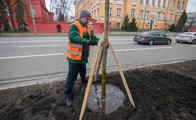Вивезли понад 6 тисяч кубометрів сміття: у КМДА розповіли про результат загальноміської толоки. ФОТО