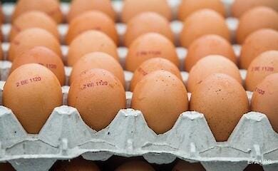 Когда снизятся цены на яйца в Украине