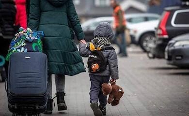 Скільки українців, вимушених покинути Батьківщину, змогли знайти роботу в Естонії