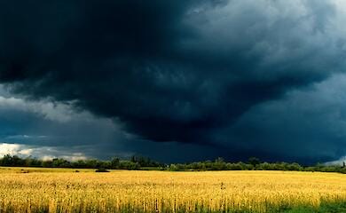 На жителів передмістя Одеси обрушився смерч 