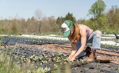 Стало відомо, скільки українців у Польщі працевлаштовано