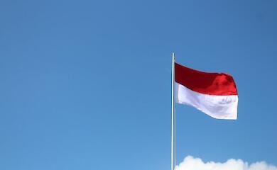 Свой план мирного урегулирования военного конфликта в Украине предложила Индонезия