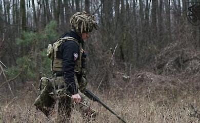 В Украине запускается проект, направленный на ускорение процесса разминирования лесных территорий