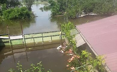 Олешки, вул. Нижня