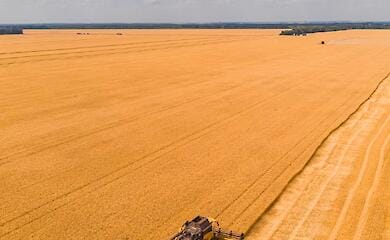 Поля можуть перетворитися на пустелі - попереджає Мінагрополітики
