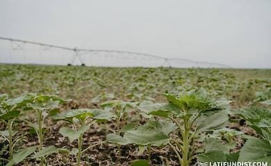 Министр аграрной политики и продовольствия Украины озвучил самую большую проблему в сельском хозяйстве юга страны