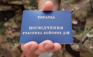В Украине начнет работу Институт помощника ветерана