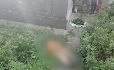 Вследствие утреннего ракетного удара по населенному пункту на Херсонщине погибла женщина
