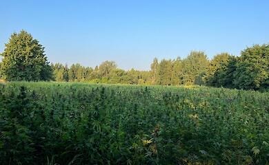 Госпогранслужба