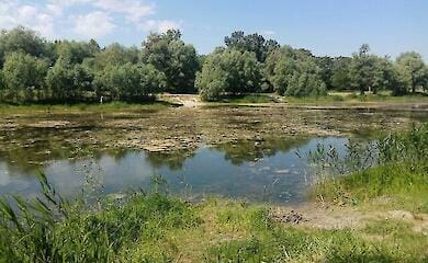 У Києві озеро Синє на Виноградарі планують розчистити і наповнити водою