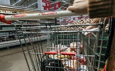 Эксперты рассказали, какой запас продуктов следует сделать на зиму