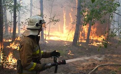 Масштабна пожежа знову палає в Андріївському лісовому урочищі на Миколаївщині