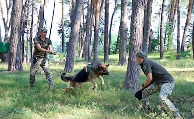 Держприкордонслужба