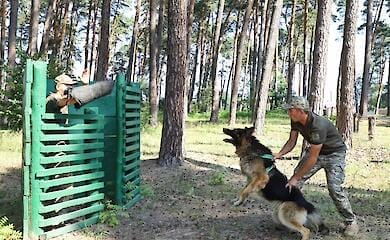 Держприкордонслужба