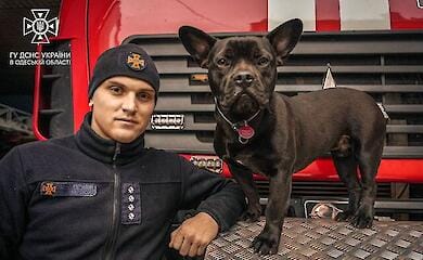Одеські рятувальники розповіли про свого талісмана - песика Мажора (відео, фото)