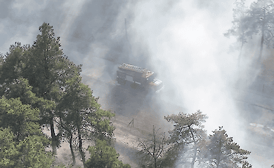 Пожар уничтожил 50 га территорий в Николаевской области