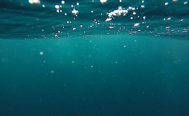 В Киевской области обнаружили тело мужчины, пропавшего накануне