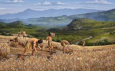 Где и как появились первые фермеры?