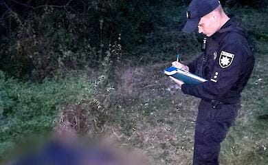 2 жовтня в Київській області через напад комах загинув чоловік