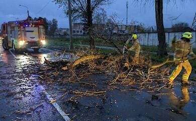 Сильный ветер в Киеве уже убил несколько человек