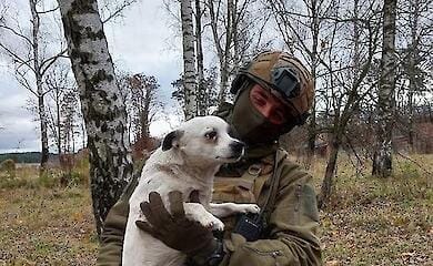 Воїнів на передовій рятує пухнастий друг