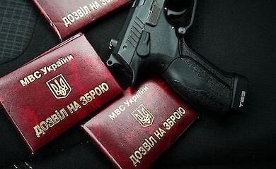 Через реєстр зброї майже 117 тисяч українців отримали дозвіл
