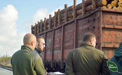 В Рівненській області звільнено всіх директорів лісгоспів