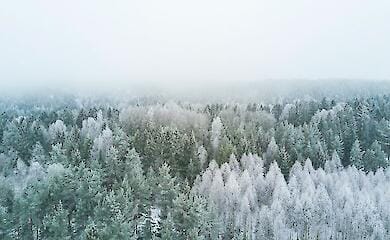 Синоптики повідомили, яким буде січень в Україні