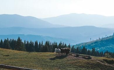 Російські пропагандисти назвали "героями" жителів одного із сіл Закарпаття