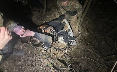 Пограничники вытащили из ледяной Тисы полубессознательного жителя Сум
