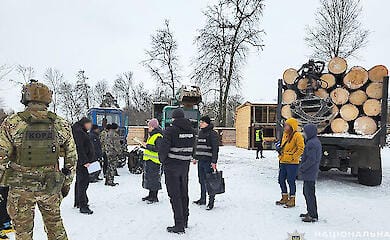 На Черниговщине разоблачили "черных" лесорубов