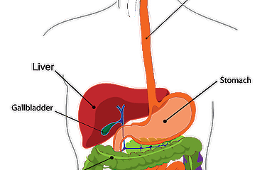Дисбактериоз - симптомы у женщин и методы лечения
