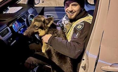 У Києві пухнастих мандрівників повернули власниці