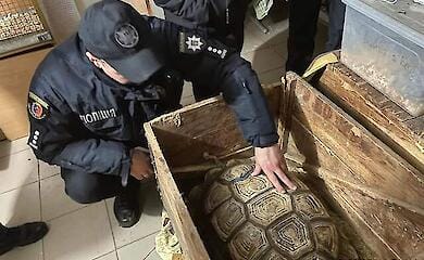 В Хмельницкой области полиция изъяла 61 рептилию из незаконной выставки