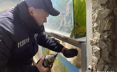 Нацполиция