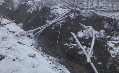 ГП "Леса Украины"