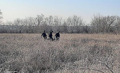 Четыре человека подорвались на мине в Николаевской области