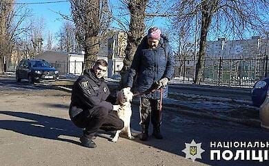 У Києві власниці повернули собаку, яку перехожі прийняли за безпритульну