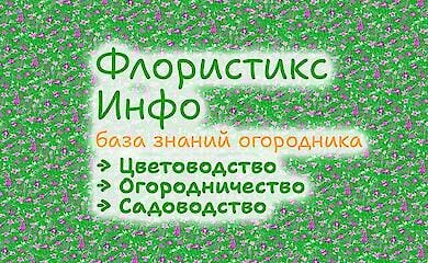База знаний садовода Флористикс Инфо – кладезь информации!