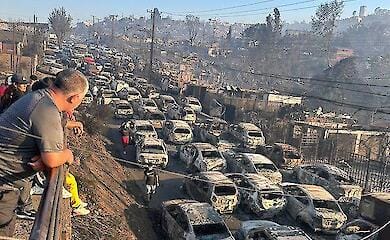 Масштабные лесные пожары охватили Чили: очевидцы публикуют видео