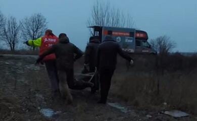 У Київській області на міні-розтяжці підірвався лось