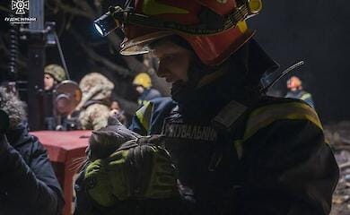 В Краматорске  спасатели смогли вытащить из-под завалов разрушенного дома живого кота 