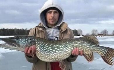 Рибалка спіймав майже 10-кілограмову щуку