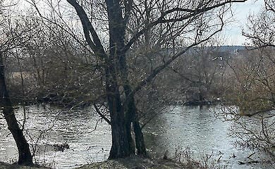 Півтора місяця вважався зниклим безвісти: тіло чоловіка виявили на Тернопільщині