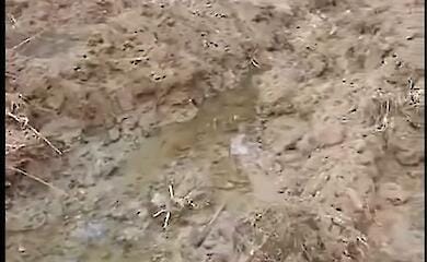 На Львовщине вместо оздоровительного комплекса построили коттеджи и теперь осушают озеро